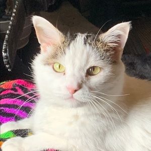 Meet your Posher, Michelle